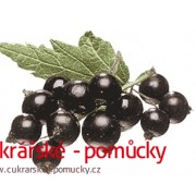 ZTUŽOVAČ ŠLEHAČKY ČERNÝ RYBÍZ  250 G