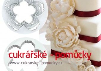 SADA VYKRAJOVÁTEK PIVOŇKA VELKÁ