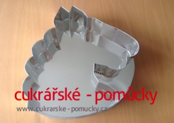 DORTOVÁ FORMA KŮŇ