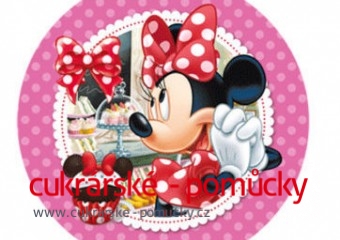 JEDLÝ PAPÍR MINNIE 6