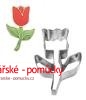 TULIPÁN