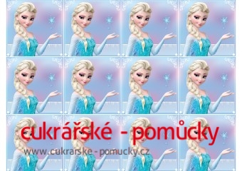 20 KS JEDLÝ PAPÍR  ELZA