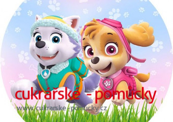 JEDLÝ PAPÍR TLAPKOVÁ PATROLA SKYE 2