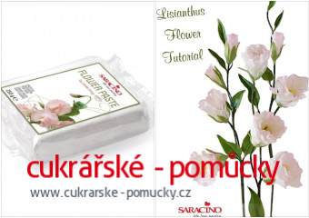 MODELOVACÍ HMOTA SARACINO FLOWER PASTE  250 g