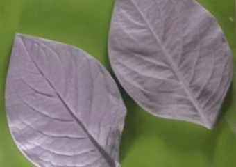 SILIKONOVÁ FORMA ŽILKOVAČ HYDRANGEA II
