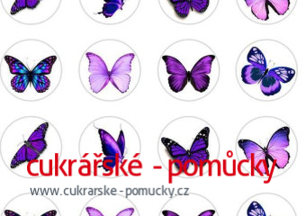 JEDLÝ PAPÍR MOTÝL  7