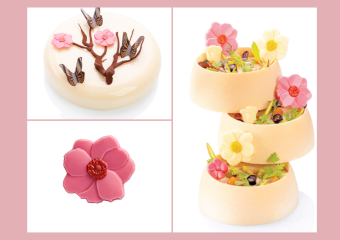 ČOKOLÁDOVÁ DEKORACE MAGNOLIE  10 ks