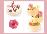 náhled - ČOKOLÁDOVÁ DEKORACE MAGNOLIE  10 ks